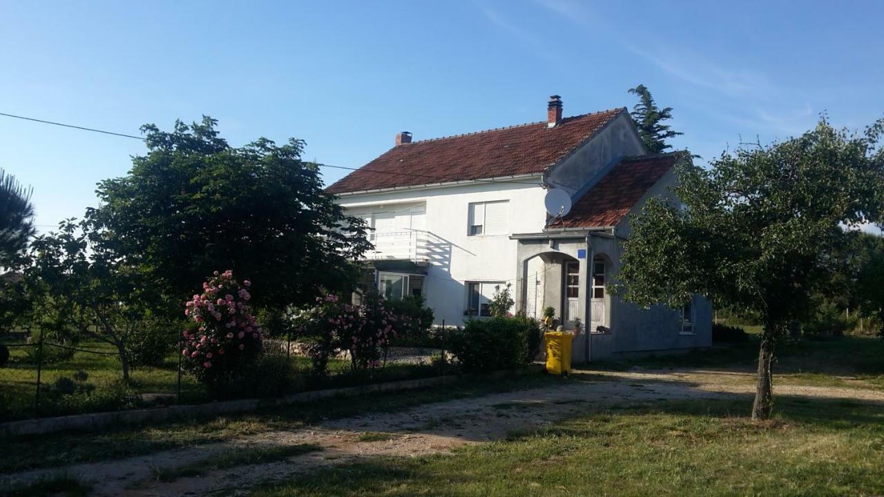 Apartment Brigitte Vrsi Eksteriør bilde